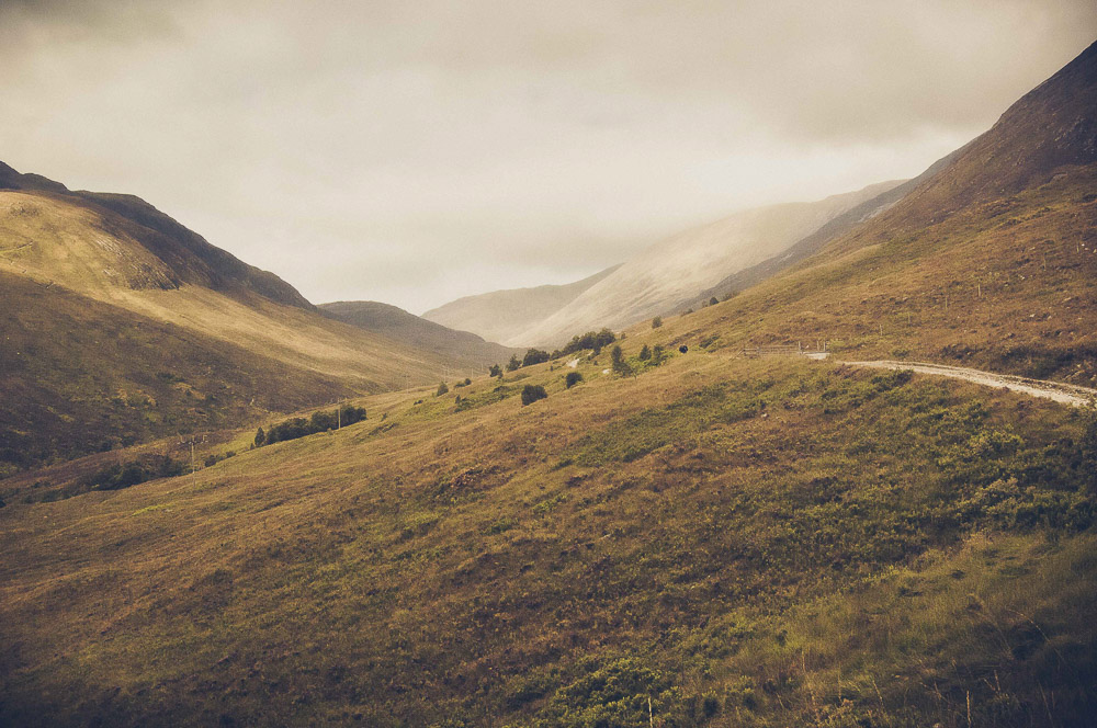 West-Highland-035