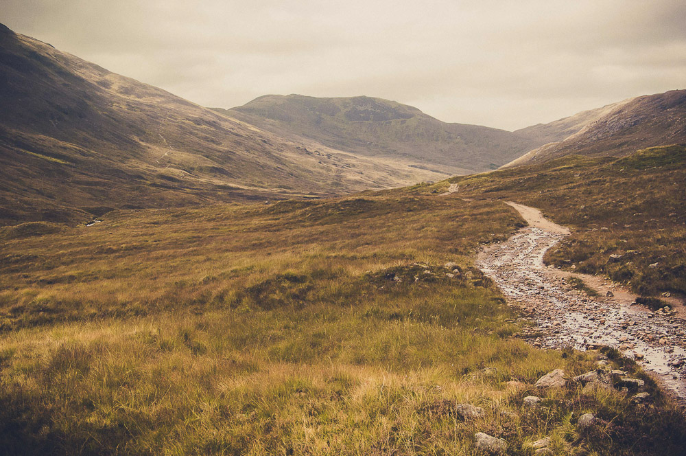 West-Highland-041