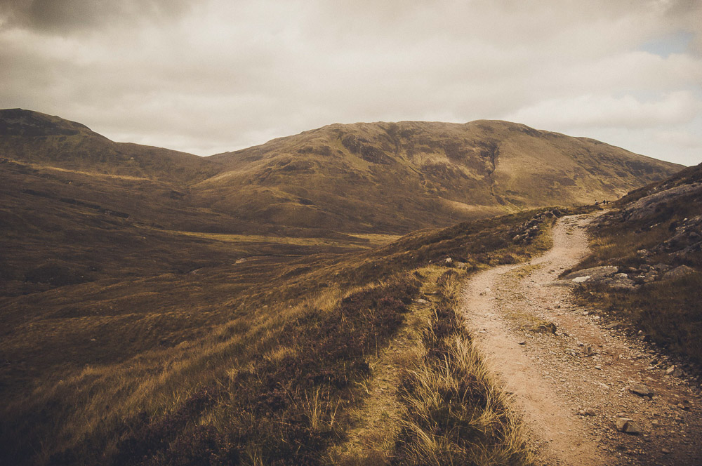 West-Highland-042