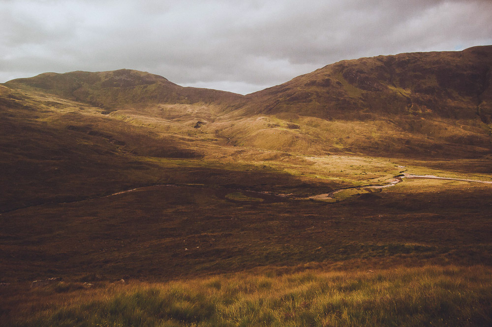 West-Highland-043