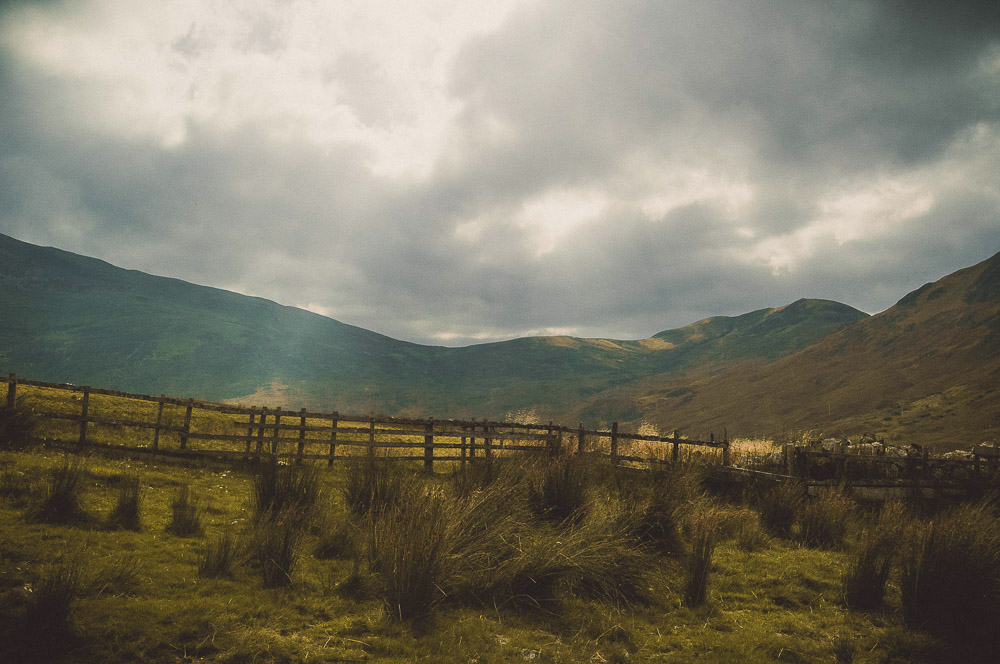 West-Highland-044